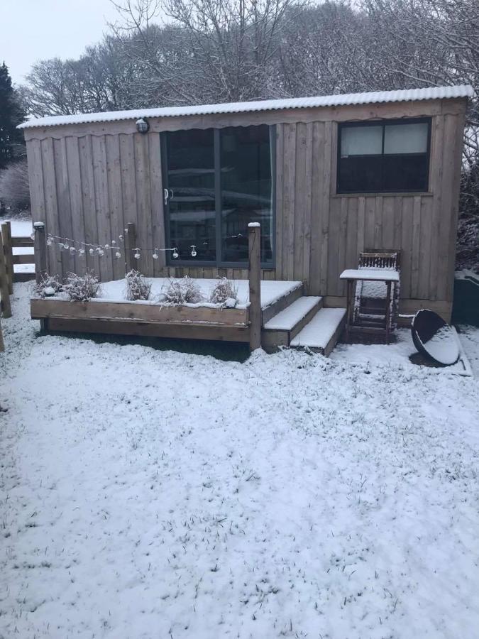 Cefn Crib Cabins Макънтлет Екстериор снимка
