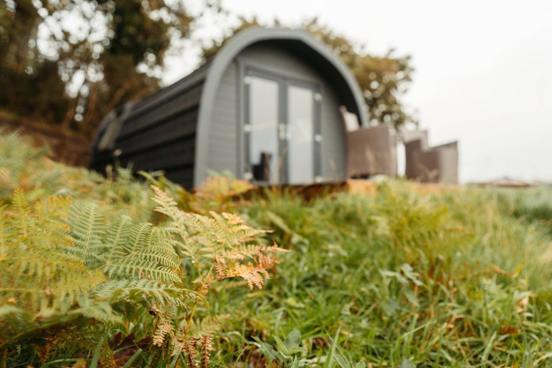 Cefn Crib Cabins Макънтлет Екстериор снимка